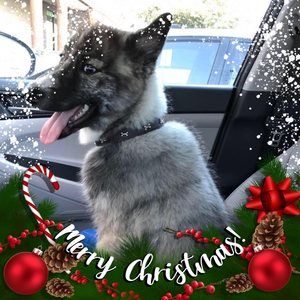 Meet your Posher, Edward